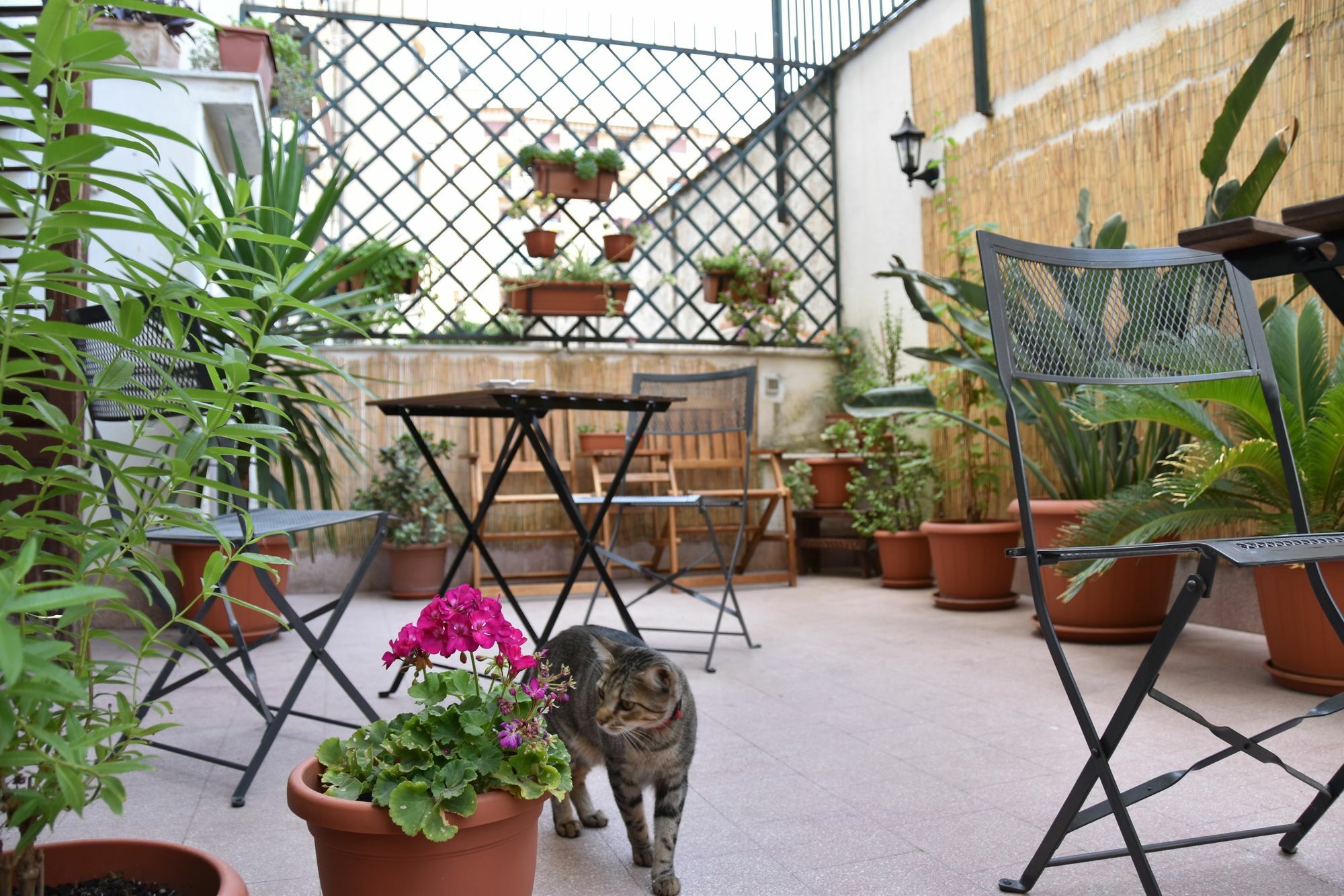 Il Lapino Palermo Exterior foto